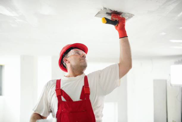Best Dehumidification Services  in Ramblewood, NJ