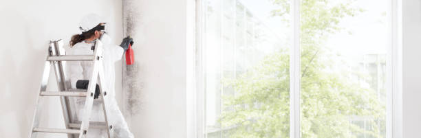 Best Water Damage & Mold Remediation  in Ramblewood, NJ